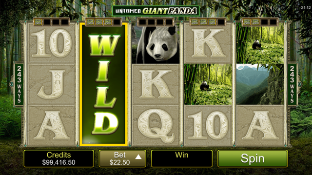 Untamed Giant Panda Slot Review