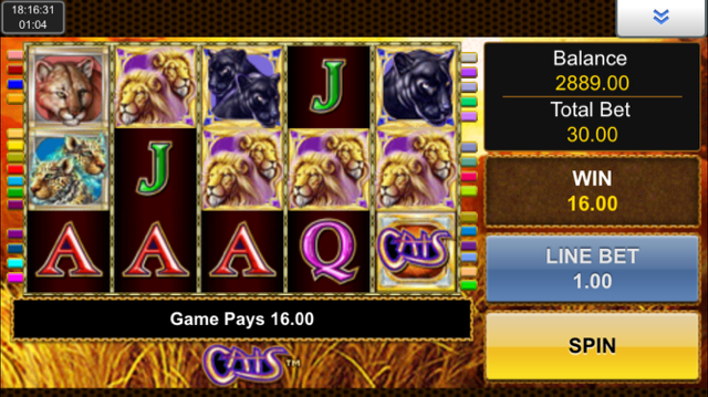 cats slot review