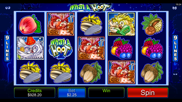 What A Hoot Slot Review