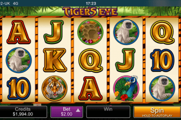 Tigers Eye Slot Review