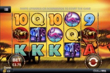 Safari Heat Slot Review