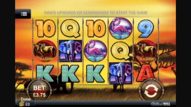 Safari Heat Slot Review
