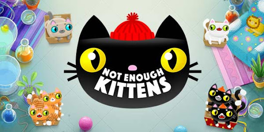 play not enough kittens