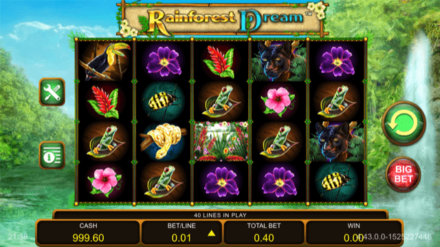 Rainforest Dream Slot Review